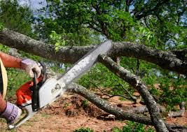 Lawn Grading and Leveling in Catawba, SC