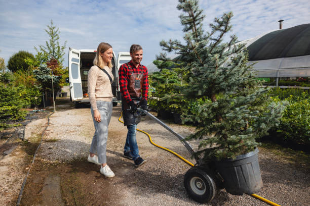 Catawba, SC Tree Care Services Company